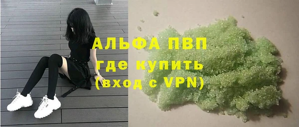 дмт Бородино