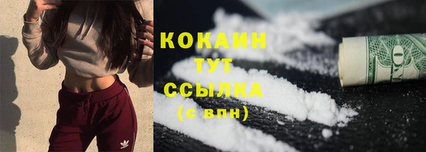 дмт Бородино