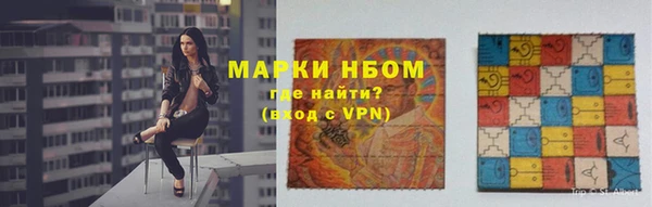 дмт Бородино