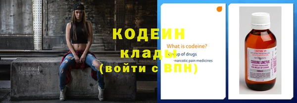 дмт Бородино