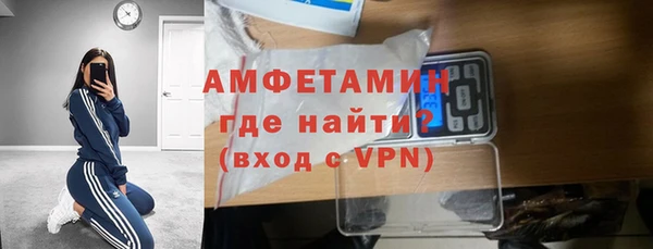 дмт Бородино