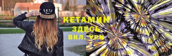 дмт Бородино