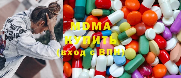 дмт Бородино