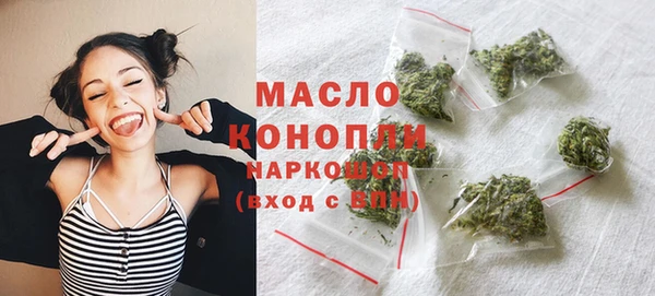 дмт Бородино