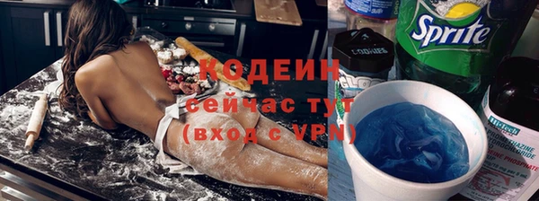 дмт Бородино