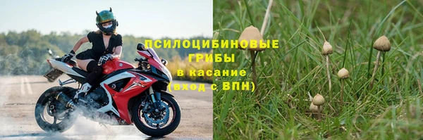 трава Бугульма