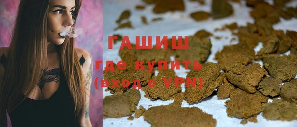 дмт Бородино