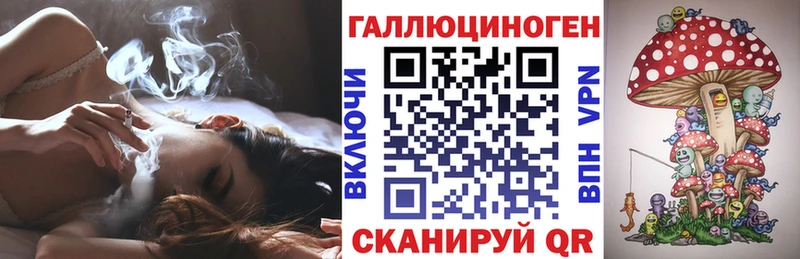 hydra   Ильский  Псилоцибиновые грибы GOLDEN TEACHER 